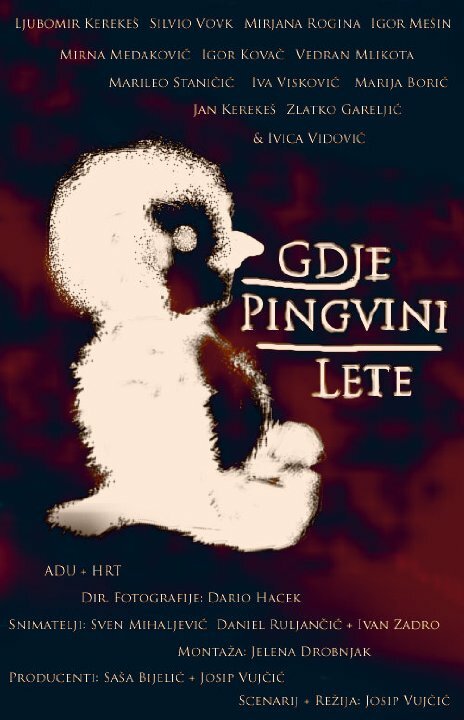 Gdje pingvini lete (2008)