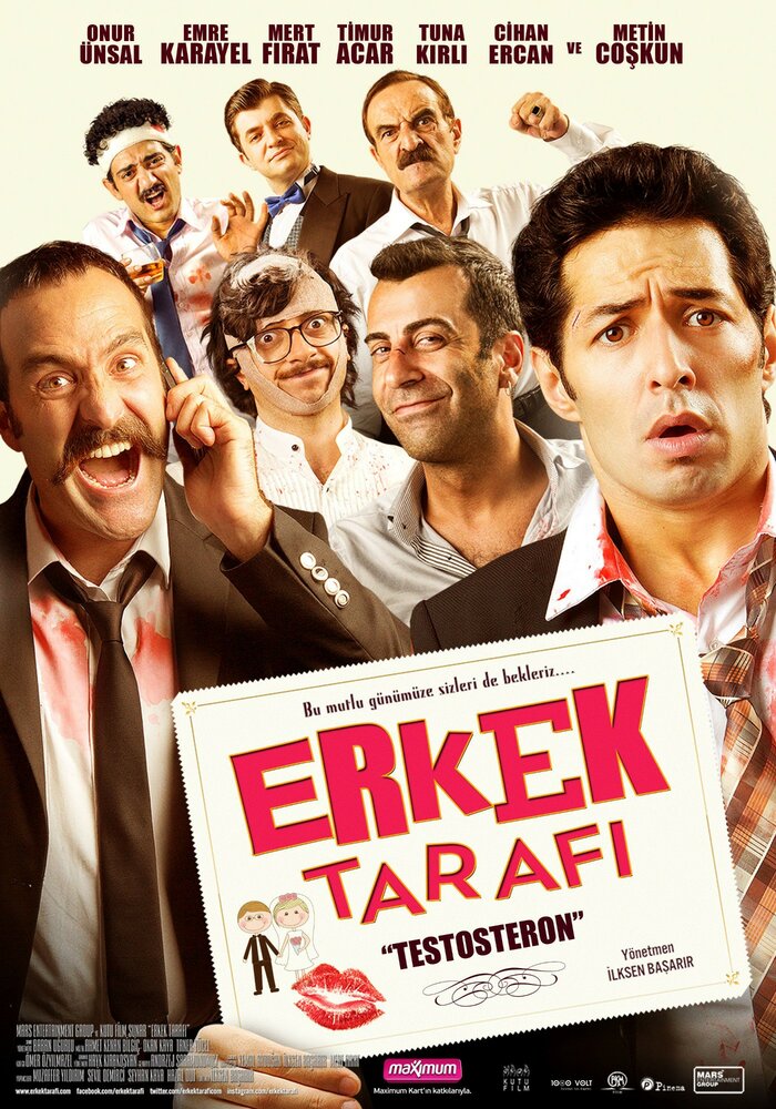 Erkek tarafi testosteron (2013)